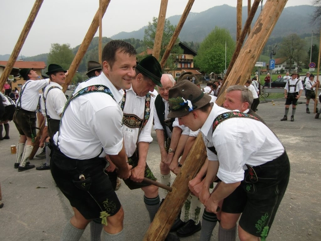 Maibaum-2013